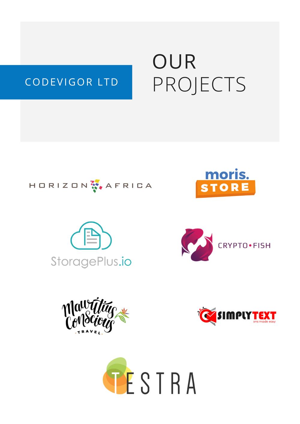 Codevigor Company Profile