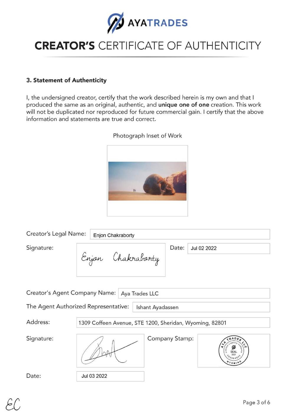 Certificate of Authenticity and Consignment - Anomalous Encounter