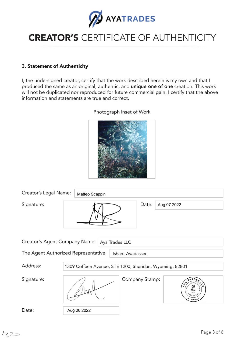 Certificate of Authenticity and Consignment - Dimension Traveler (Part 2)