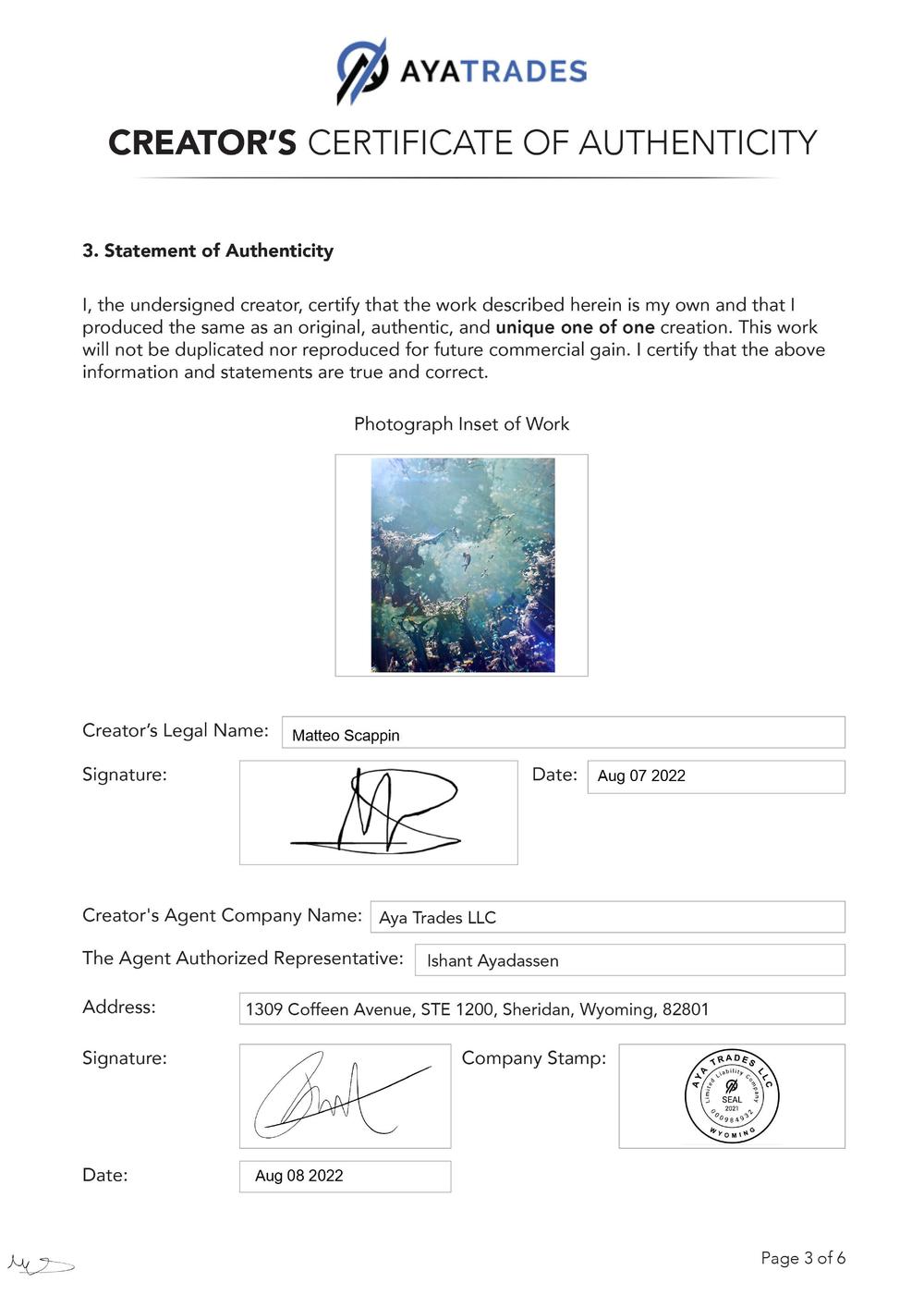 Certificate of Authenticity and Consignment - Dimension Traveler