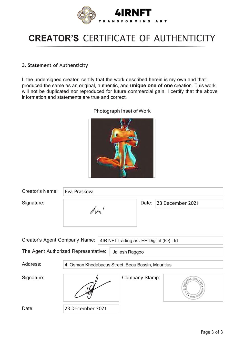Certificate of Authenticity and Consignment - Illuminated