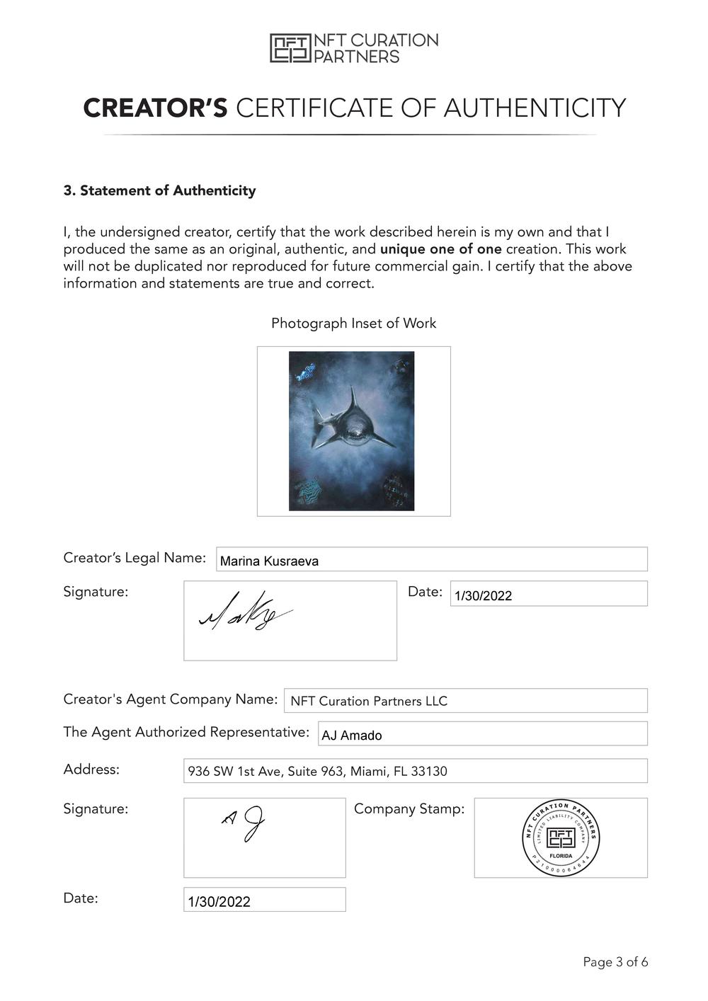 Certificate of Authenticity and Consignment - Meta Selachimorpha