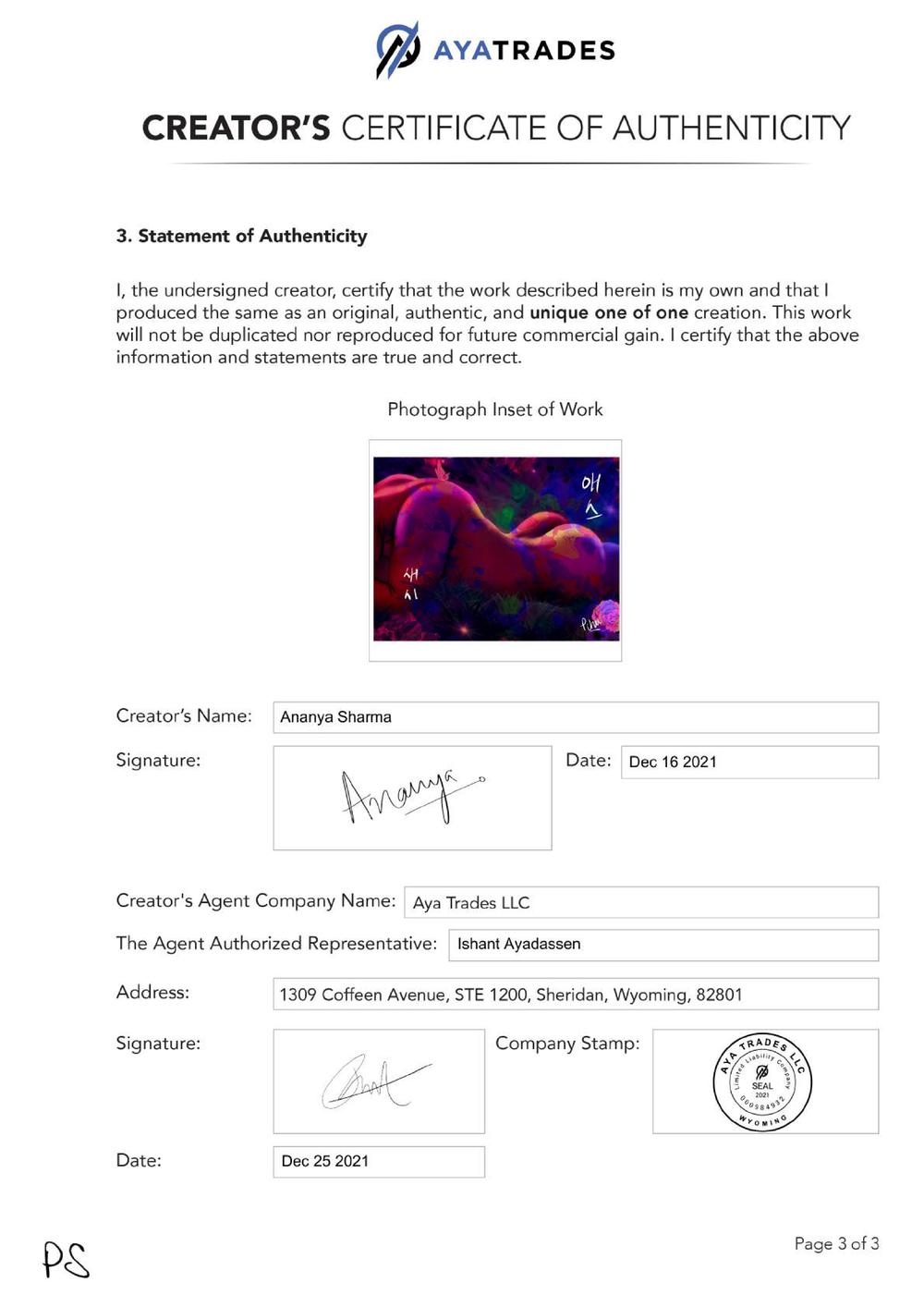 Certificate of Authenticity and Consignment - Neon Cake