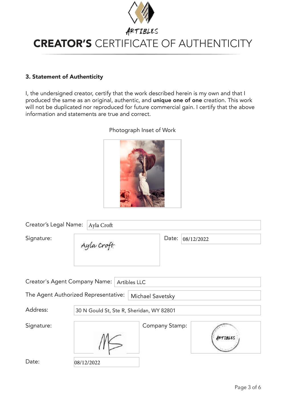 Certificate of Authenticity and Consignment - Risen From The Flames.pdf