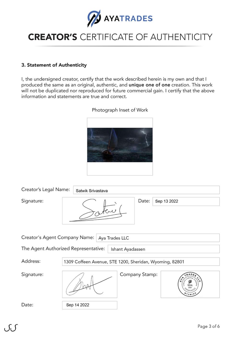 Certificate of Authenticity and Consignment - The Storm